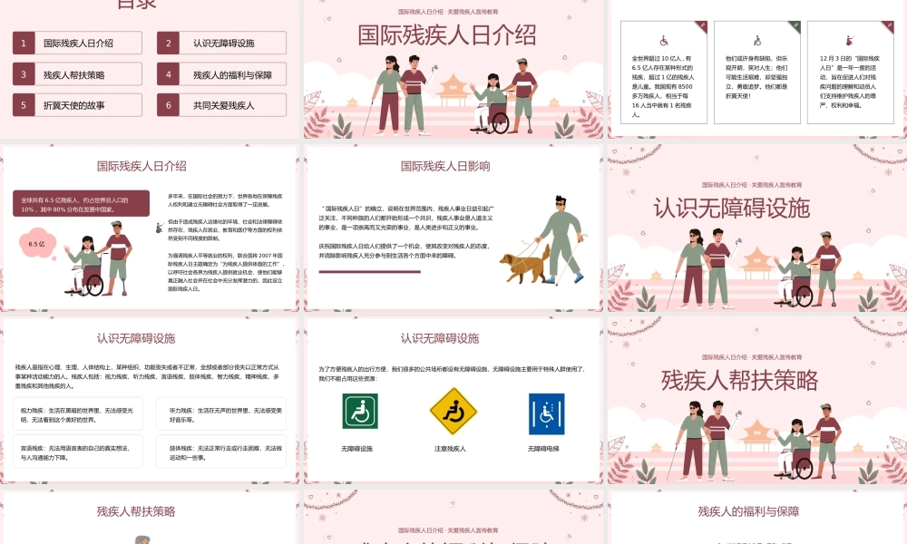 国际残疾人日介绍关爱残疾人宣传教育模板.pptx