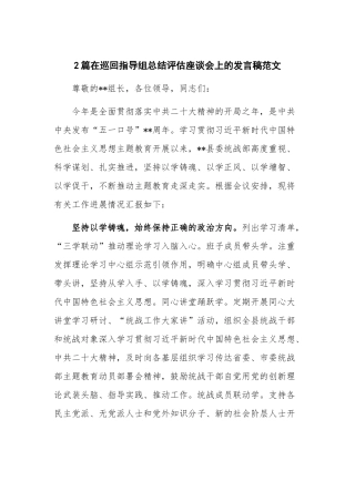 2篇在巡回指导组总结评估座谈会上的发言稿范文.docx