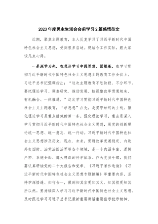 2023年度民主生活会会前学习2篇感悟范文.docx