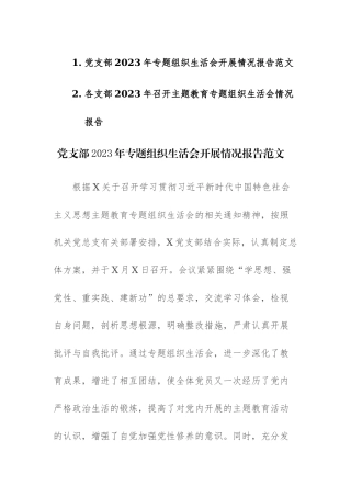 支部2023年专题组织生活会开展情况报告范文2篇.docx