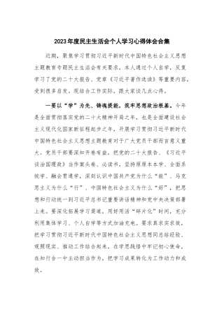 2023年度民主生活会个人学习心得体会合集.docx