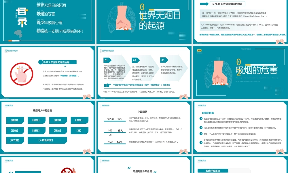 世界无烟日班会PPT模板.pptx
