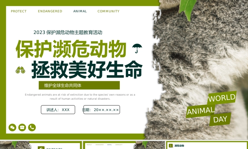 保护濒危动物宣传PPT课件世界动物日PPT模板.pptx