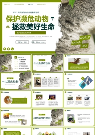 保护濒危动物宣传PPT课件世界动物日PPT模板.pptx