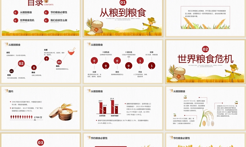 节约粮食主题班会PPT课件世界粮食日PPT模板.pptx