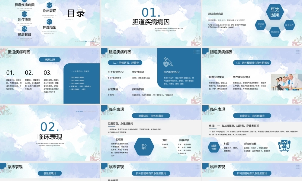 胆道疾病的病人护理PPT胆道疾病病因PPT课件（带内容）.pptx