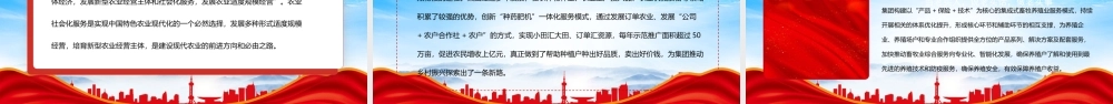 关于“三农”工作重要论述PPT在建设农业强国新征程中勇担新使命PPT课件（带内容）.pptx