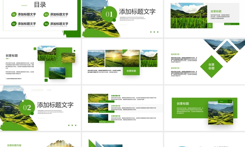 加快建设和美乡村PPT模板.pptx