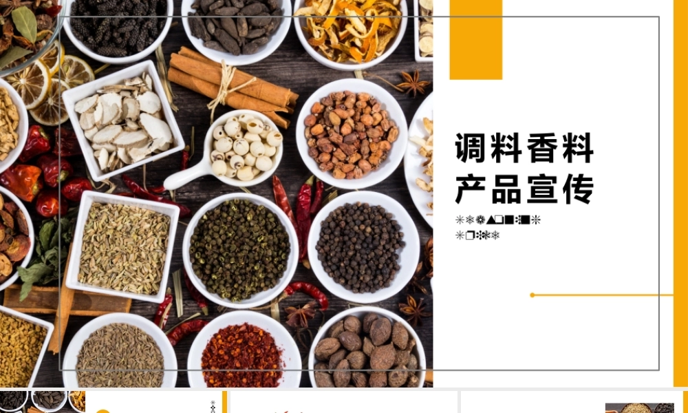 调料香料产品宣传.pptx