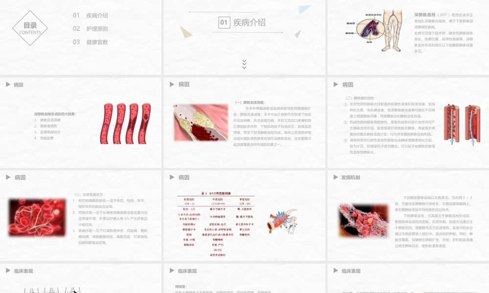 深静脉血栓病人的护理.pptx
