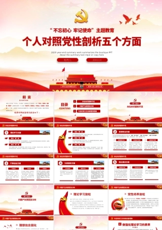 个人对照党性剖析五个方面.pptx