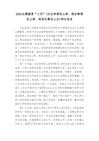 （14篇）2023年11月主题教育“三问”（过去学得怎么样、现在干得怎么样、将来打算怎么办）研讨发言.doc