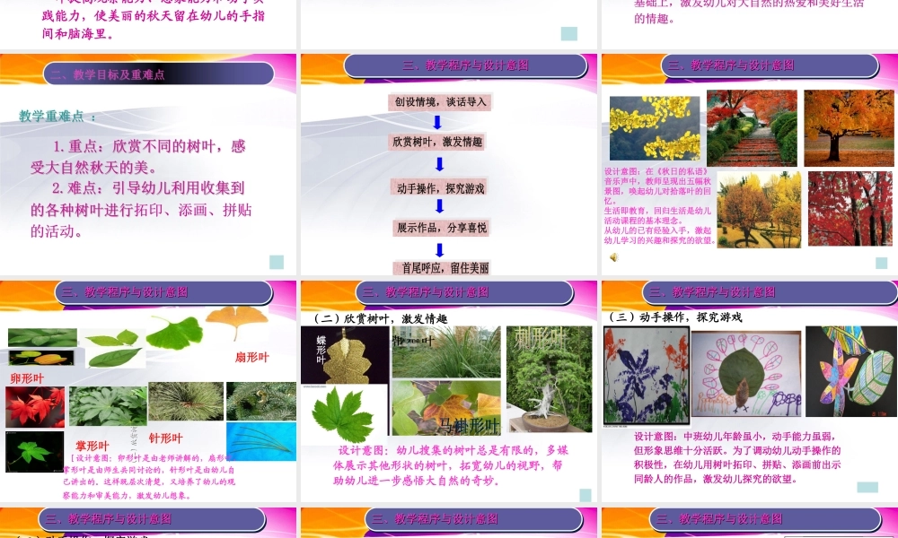 幼儿园说课树叶变变变_PPT课件.PPT