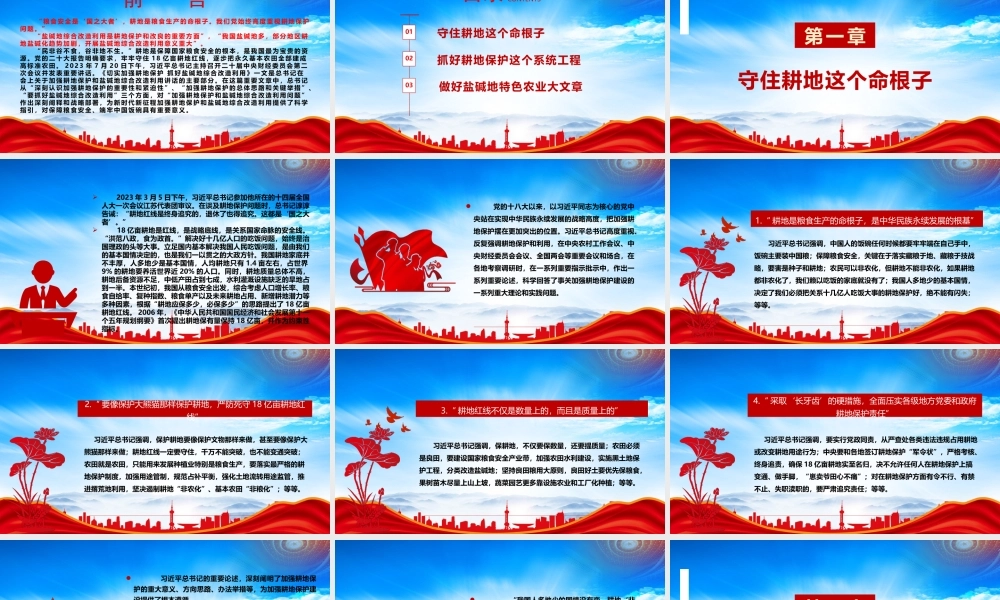 像保护大熊猫一样保护耕地PPT耕地是保障国家粮食安全的根本PPT课件（带内容）.pptx