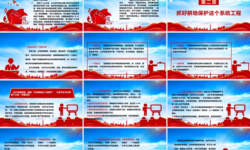 像保护大熊猫一样保护耕地PPT耕地是保障国家粮食安全的根本PPT课件（带内容）.pptx