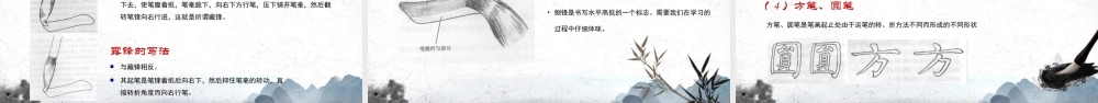 书法的基本常识中国书法文化传承.pptx