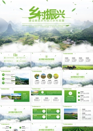 全面推进乡村振兴战略PPT模板.pptx