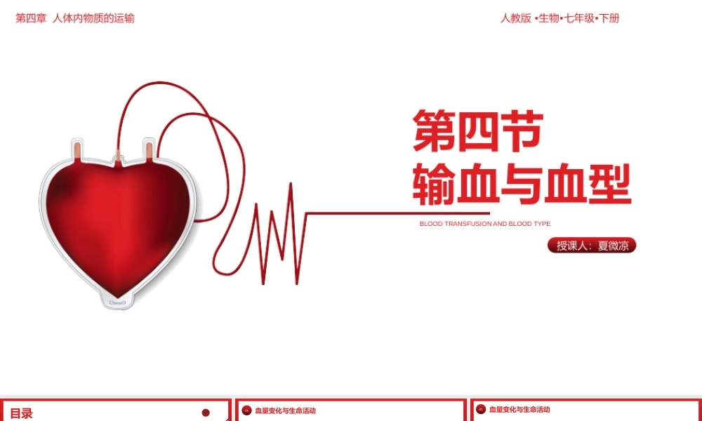 输血与血型人教版 生物七年级下册课件.pptx