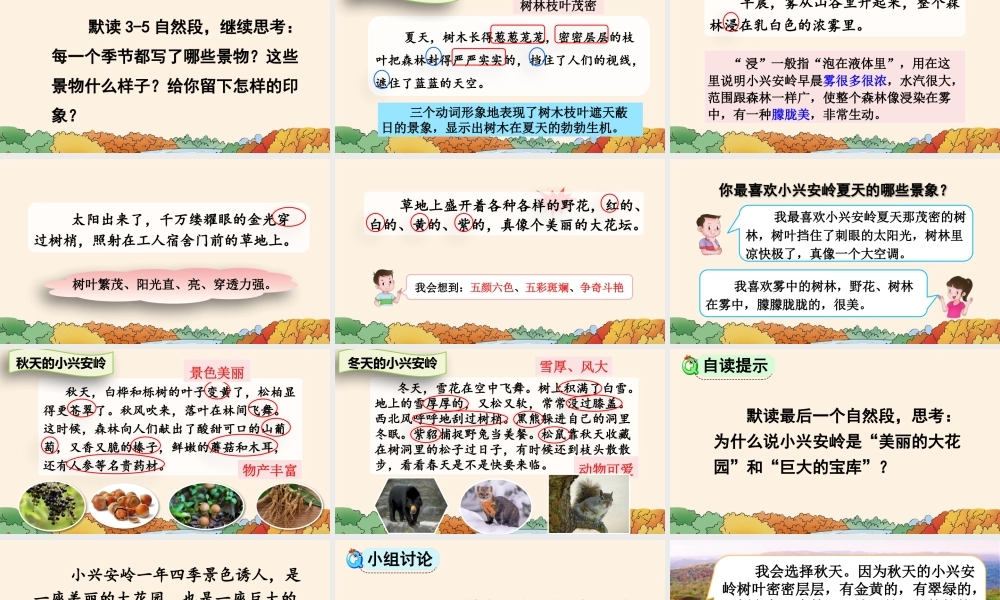 美丽的小兴安岭语文三年级上课件.pptx