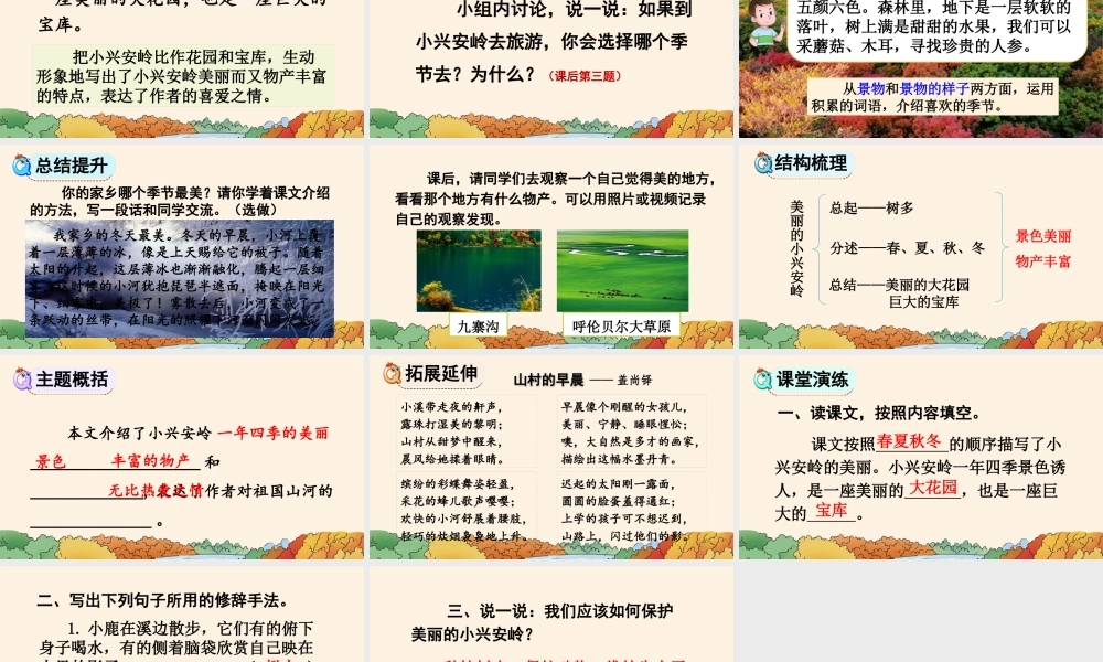美丽的小兴安岭语文三年级上课件.pptx