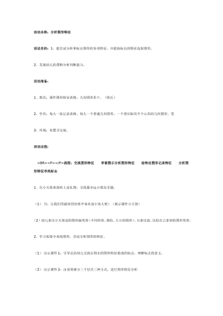 分析图形特征（大班数学）.doc