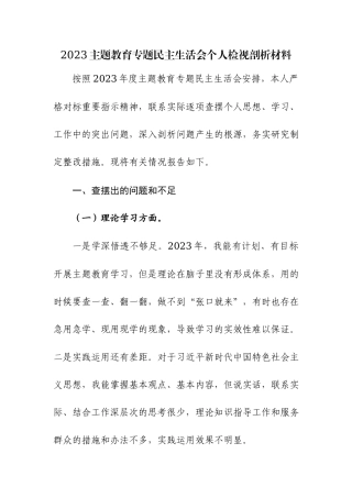 2023主题教育专题民主生活会个人检视剖析材料及党性分析材料范文2篇.docx