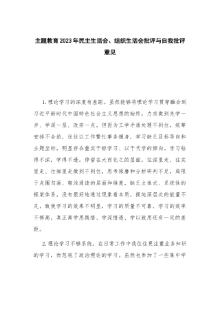 主题教育2023年民主生活会、组织生活会批评与自我批评意见.docx