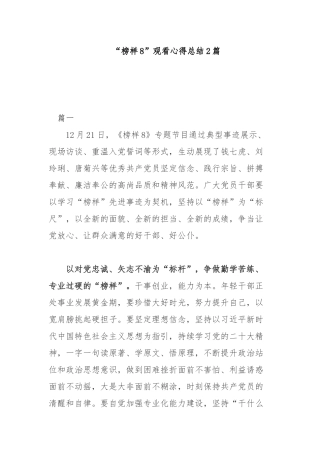 “榜样8”观看心得总结2篇.docx