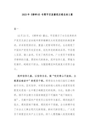 2023年《榜样8》专题节目直播观后感总结2篇.docx