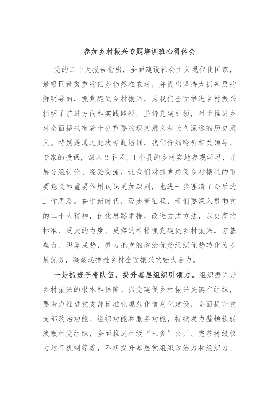 参加乡村振兴专题培训班心得体会.docx_第1页