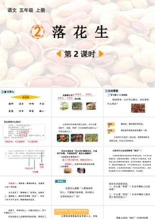 落花生语文五年级上册课件.pptx