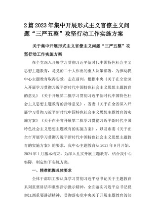 2篇2023年集中开展形式主义官僚主义问题“三严五整”攻坚行动工作实施方案.docx