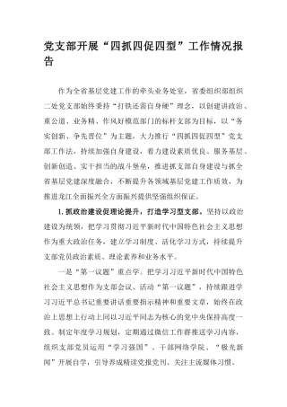 党支部开展“四抓四促四型”工作情况报告.docx
