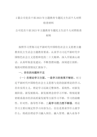 2篇公司党员干部2023年主题教育专题民主生活个人对照检查材料.docx