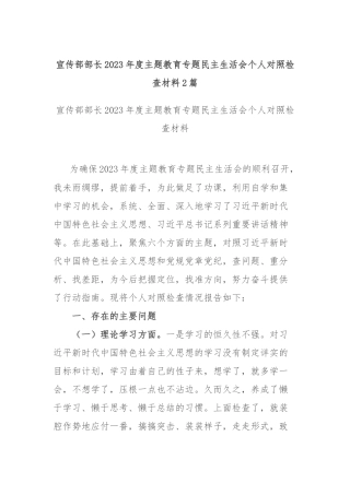 宣传部部长2023年度主题教育专题民主生活会个人对照检查材料2篇.docx