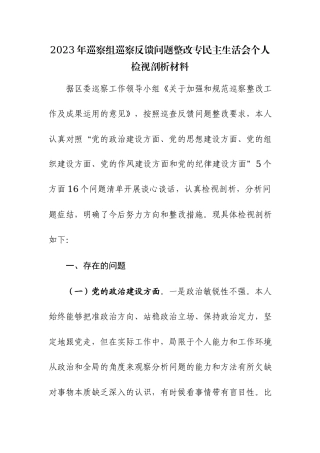 2023年巡察组巡察反馈问题整改专民主生活会个人检视剖析材料范文2篇.docx