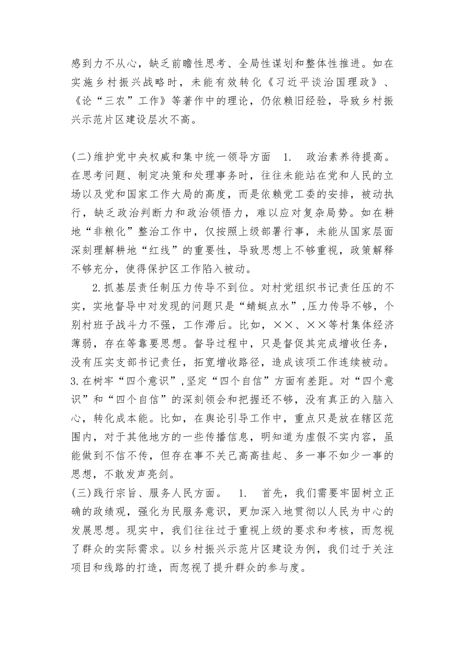 2024年(践行宗旨服务人民、求真务实狠抓落实、以身作则廉洁自律、履行全面从严治党政治责任)党工委副书记民主生活会发言提纲.doc_第2页