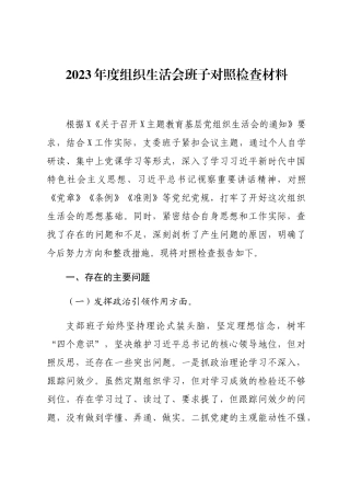2篇支部班子2023-2024主题教育专题组织生活会对照检查材料（执行上级组织决定等方面）.docx