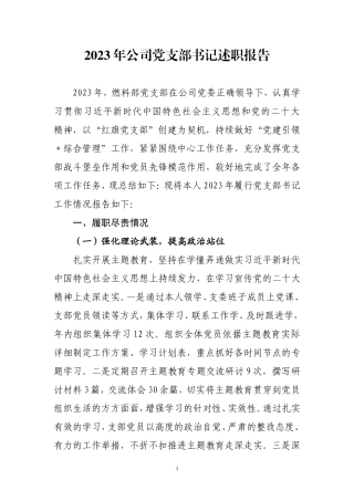 2023年公司党支部书记述职报告.doc