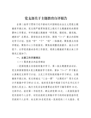 党支部关于2023-2024年度主题教育开展情况自评报告.docx