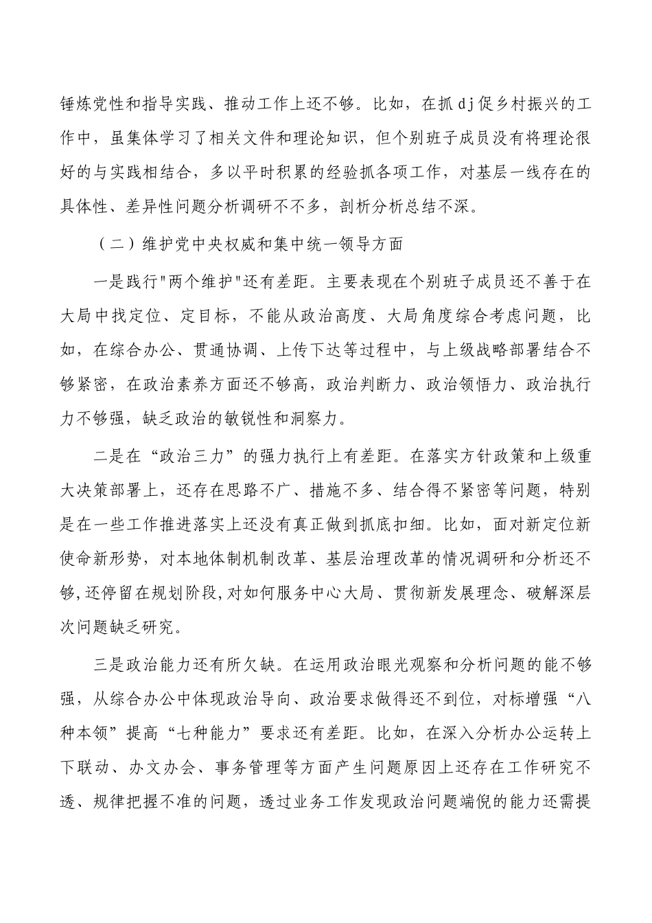 2024年新六个方面班子检查提纲材料.docx_第2页