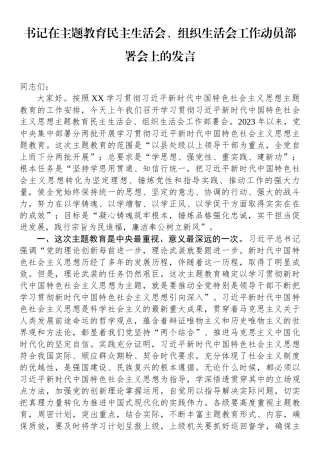 书记在主题教育民主生活会、组织生活会工作动员部署会上的发言.docx