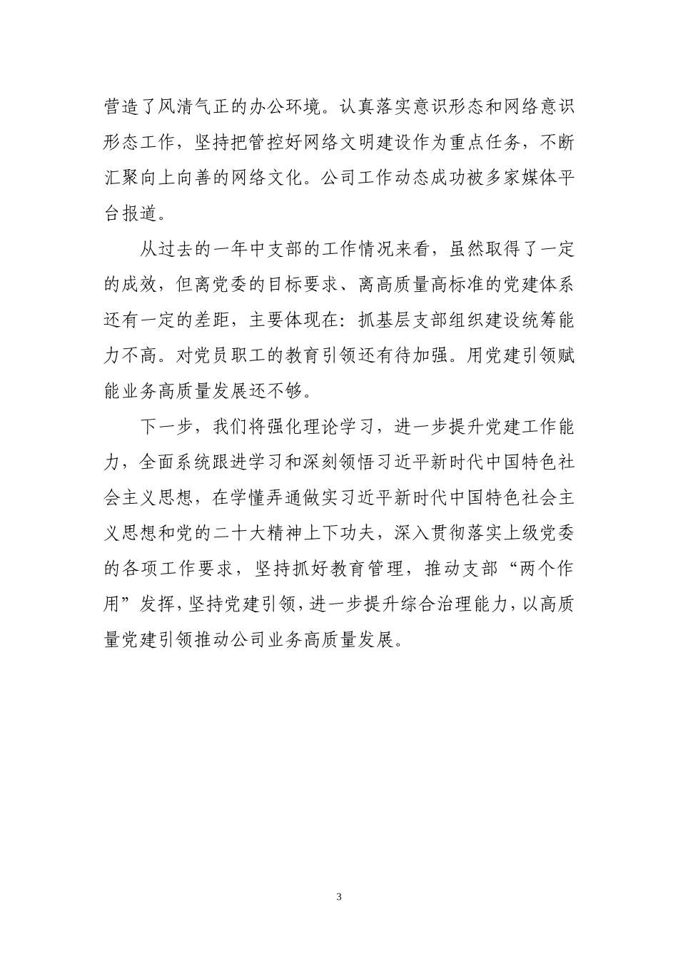 2023年支部书记抓党建工作述职报告.doc_第3页