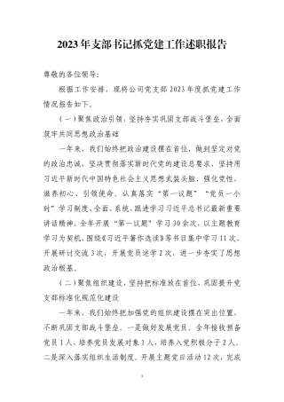 2023年支部书记抓党建工作述职报告.doc