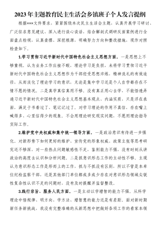 2023年主题教育民主生活会乡镇班子个人发言提纲.docx