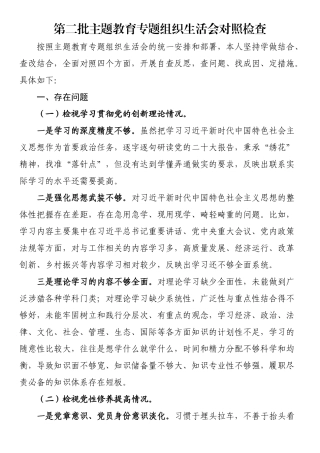 第二批主题教育专题组织生活会对照检查.docx