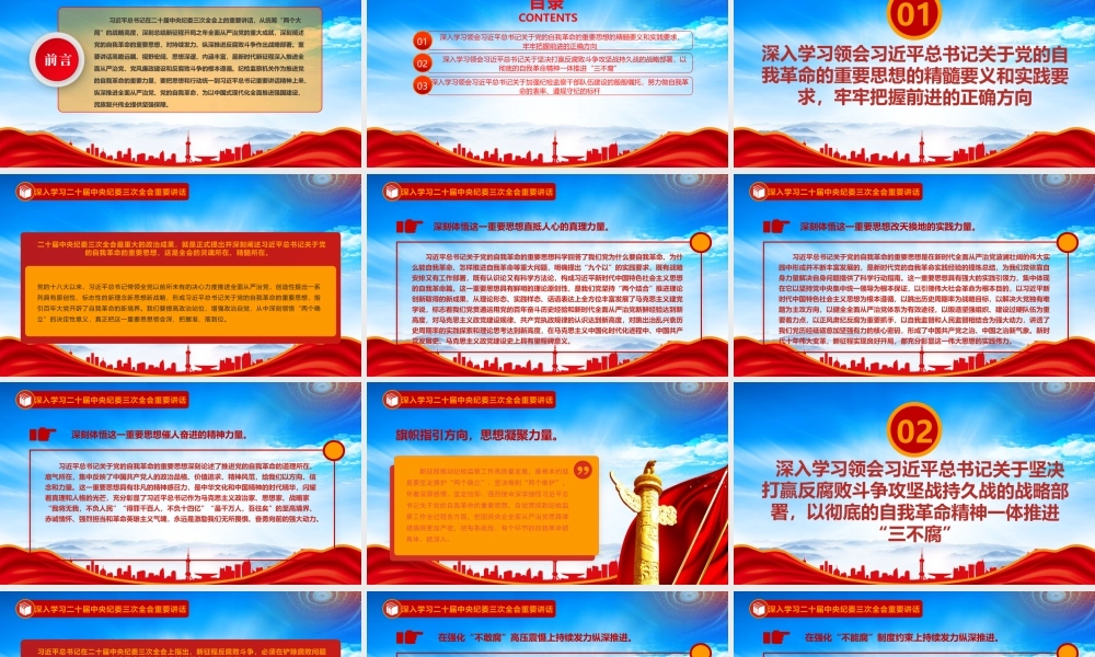 自觉用关于党的自我革命的重要思想统领纪检监察一切工作PPT课件（带内容）.pptx