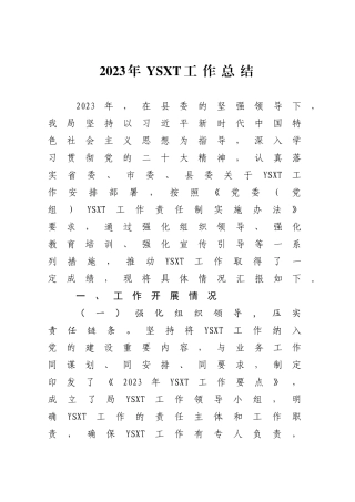 2023年YSXT工作总结.doc