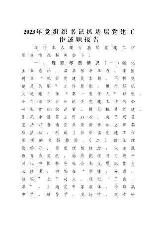 2023年党组织书记抓基层党建工作述职报告.doc