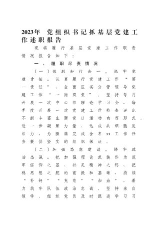 2023年党组织书记抓基层党建工作述职报告.doc